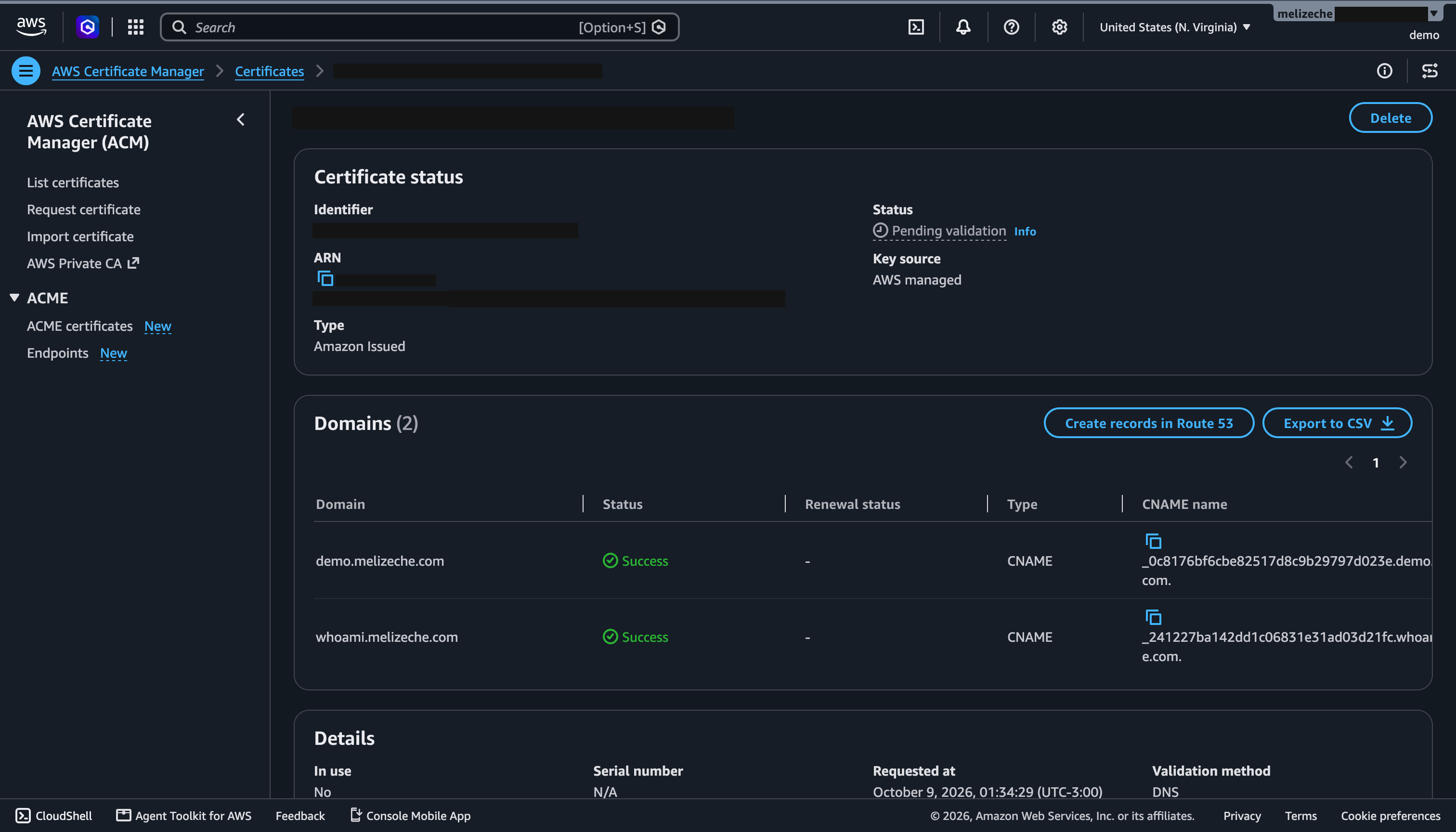 Certificado de ACM: los dos dominios validados pero el certificado sigue en Pending validation