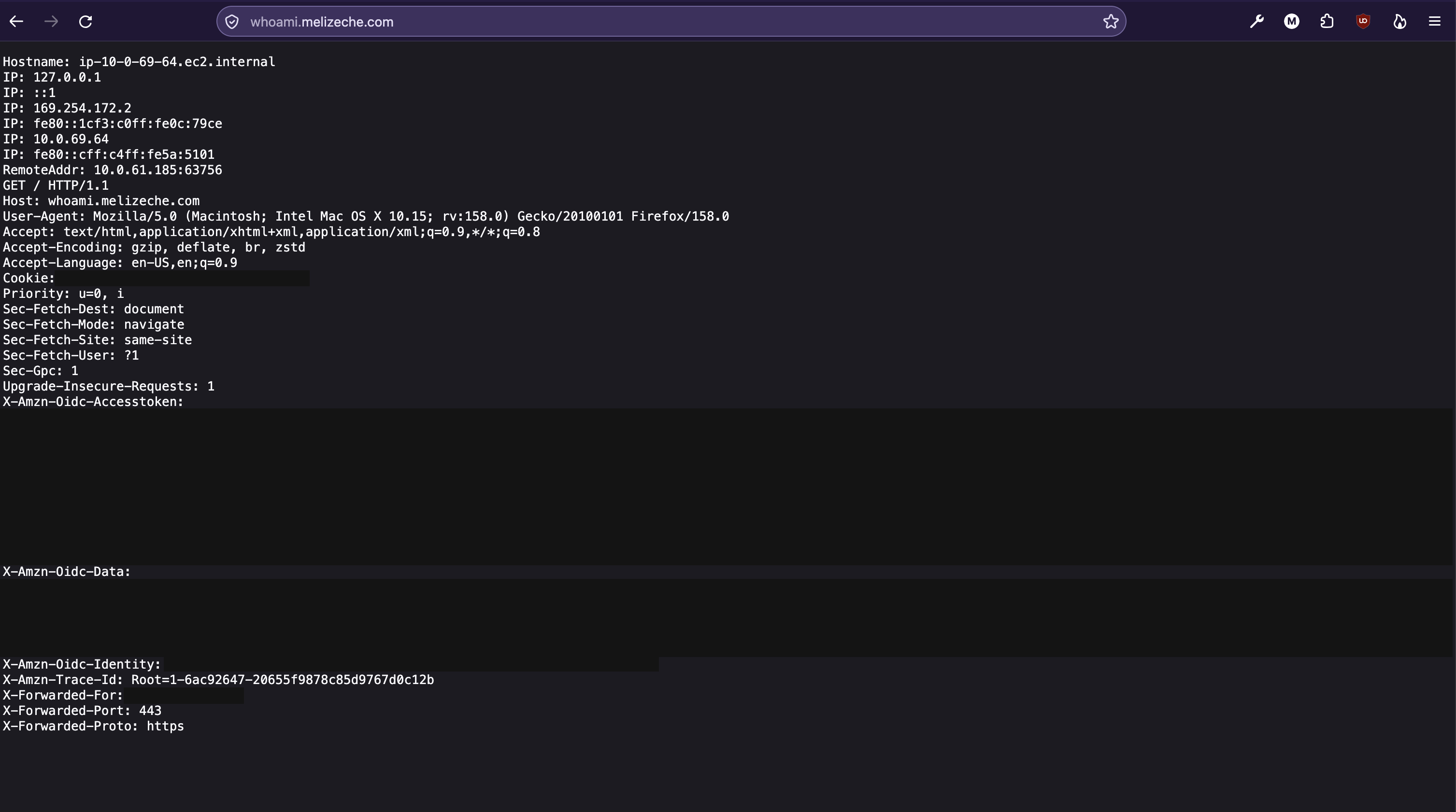 Headers que recibe la app detrás del ALB (tokens tapados)
